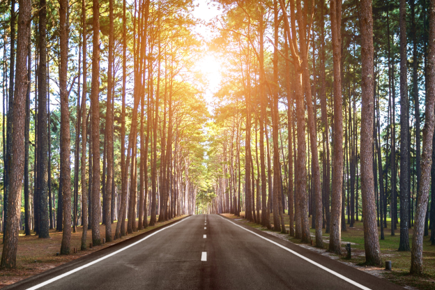 The 12 Steps of the Bridging Path